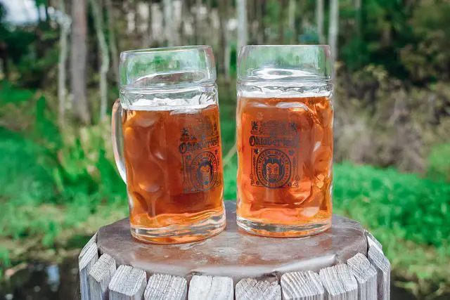 Wicked Barley Oktoberfest Steins, photo by Christine Csencsitz1 - Cats & Coffee