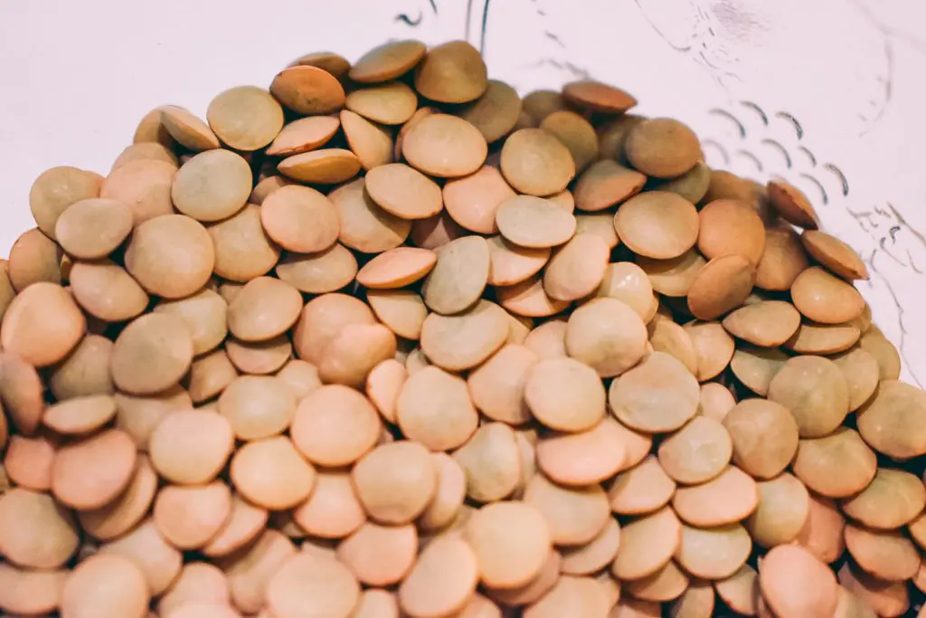 Affordable-Plant-Based-Protein-Sources4 - Cats & Coffee Cooking with Lentils - dried lentils