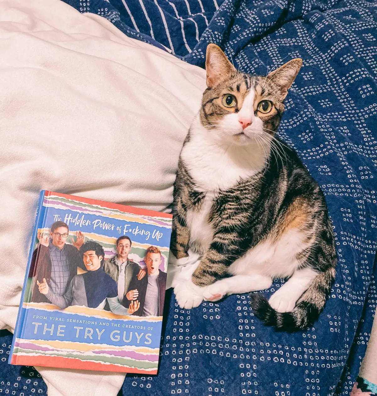The Try Guys, four YouTubers who got their start at Buzzfeed before breaking off into their own production company, are not strangers to failing. They've failed in a variety of ways in their lives, as they make clear in their 2019 book. The Hidden Power of F*ucking Up is a funny, quick read that struck me as surprisingly poignant at times. Read the full book review here!