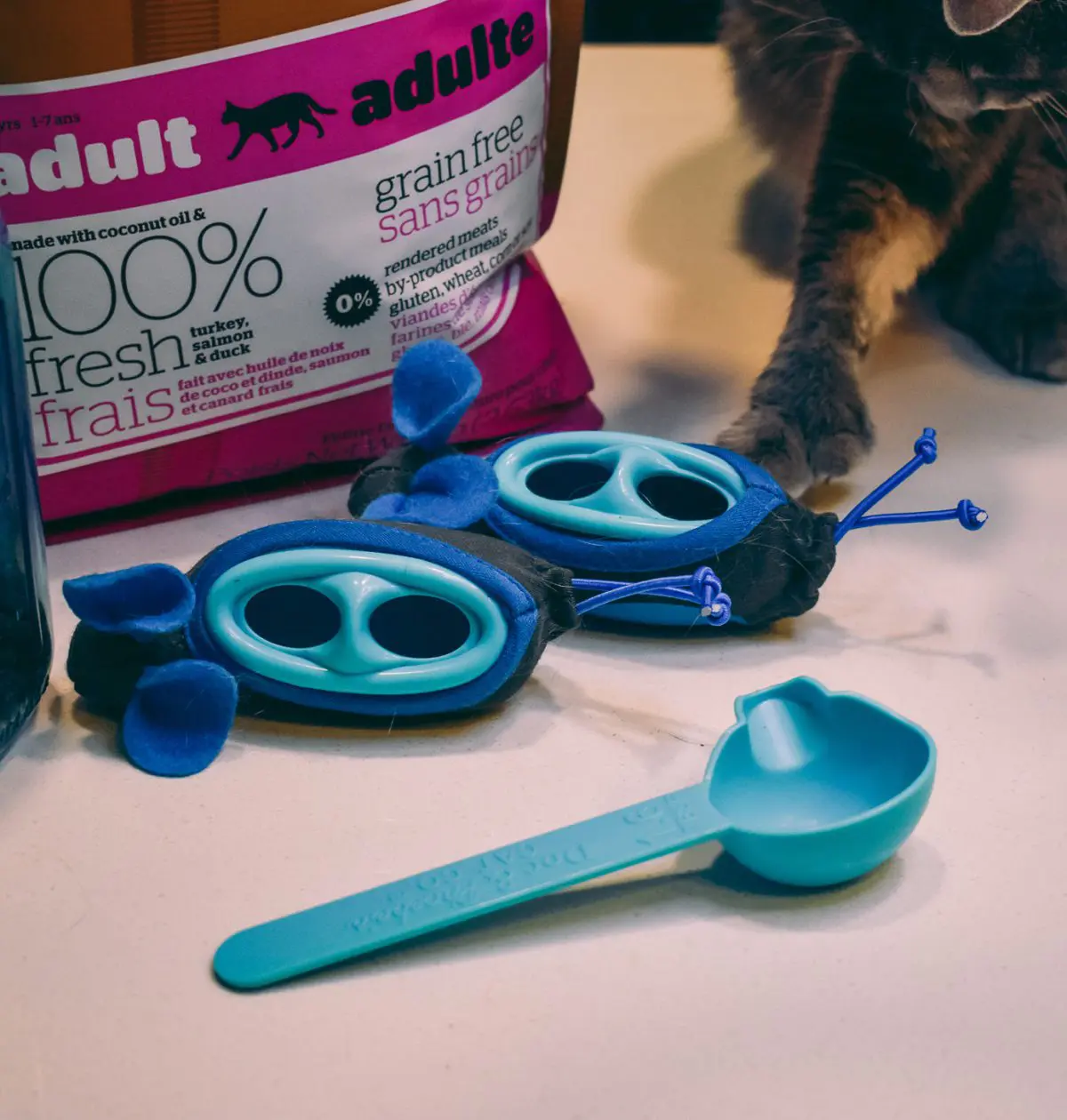 Cat-Mom-Life_-Doc-Phoebes-Indoor-Hunting-Cat-Feeder-System19 - Cats & Coffee Cat Mom Life: Doc & Phoebe's Indoor Hunting Cat Feeder System
