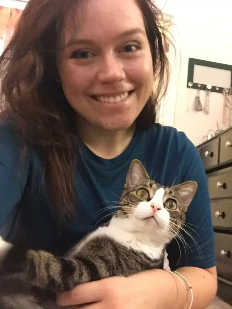 Louis' 6th Adoptaversary30 - Cats & Coffee