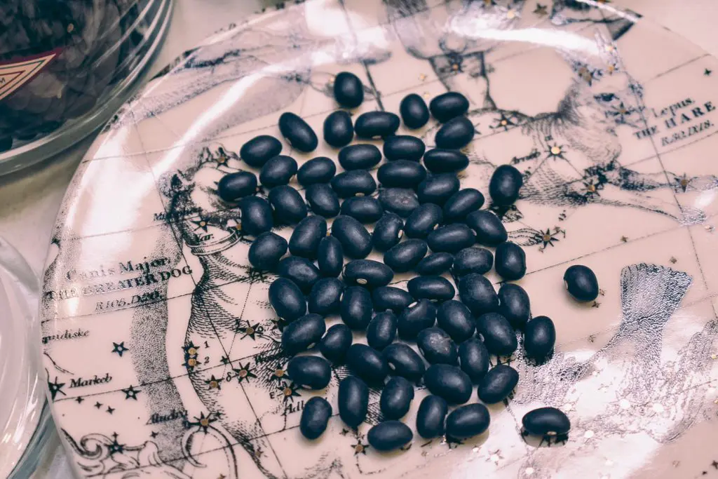 Tips-for-Eating-a-Plant-Based-Diet-on-a-Budget12 - Cats & Coffee Affordable Plant Based Protein Sources - dried black beans