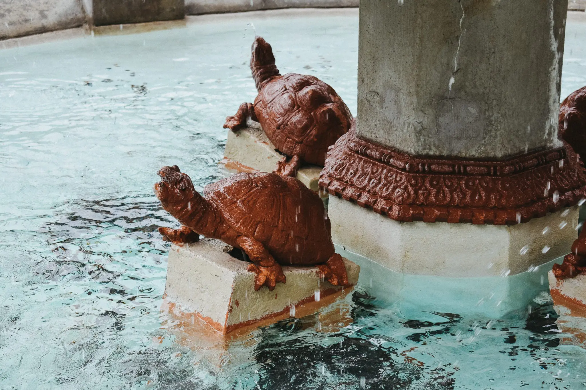 Flagler-College-St.-Augustine-FL23 - Cats & Coffee Fountain at Flagler College
