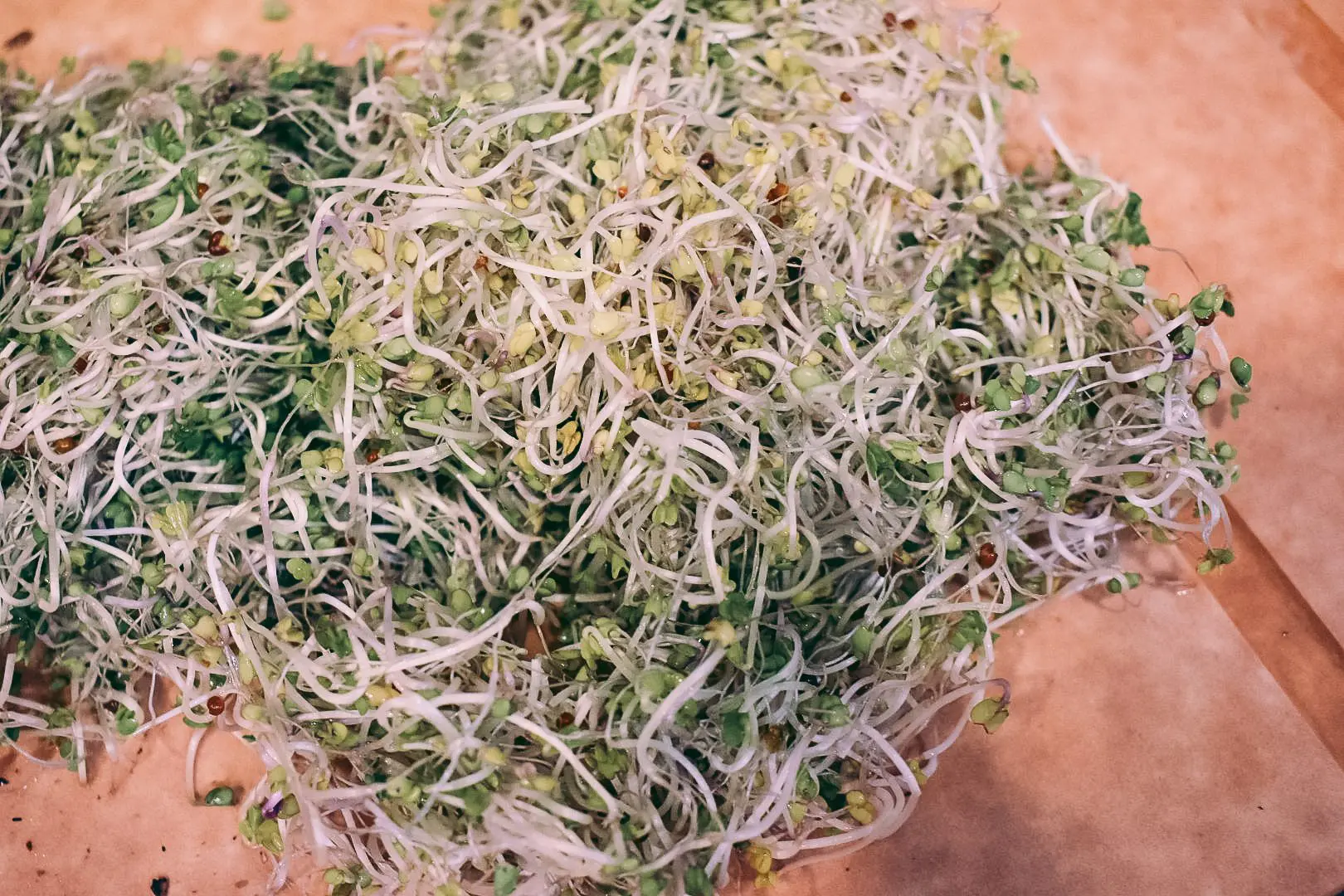 Plant-Based-Diet-Microgreens-FAQ2 - Cats & Coffee Plant-Based Diet: Microgreens FAQ