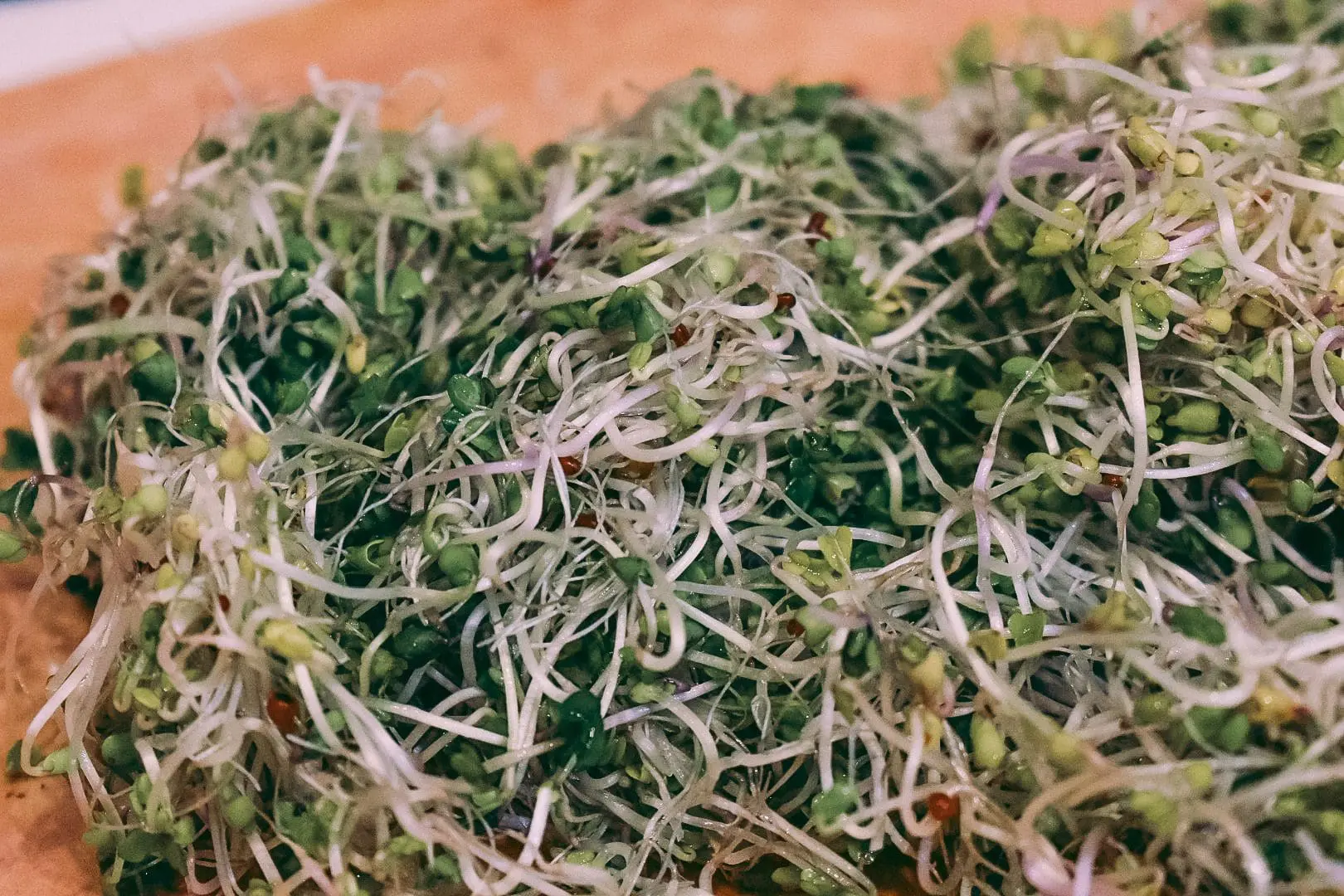 Plant-Based-Diet-Microgreens-FAQ3 - Cats & Coffee Nutritional yeast and microgreens on a cutting board — simple ways to boost flavor in vegetarian Thanksgiving dishes.