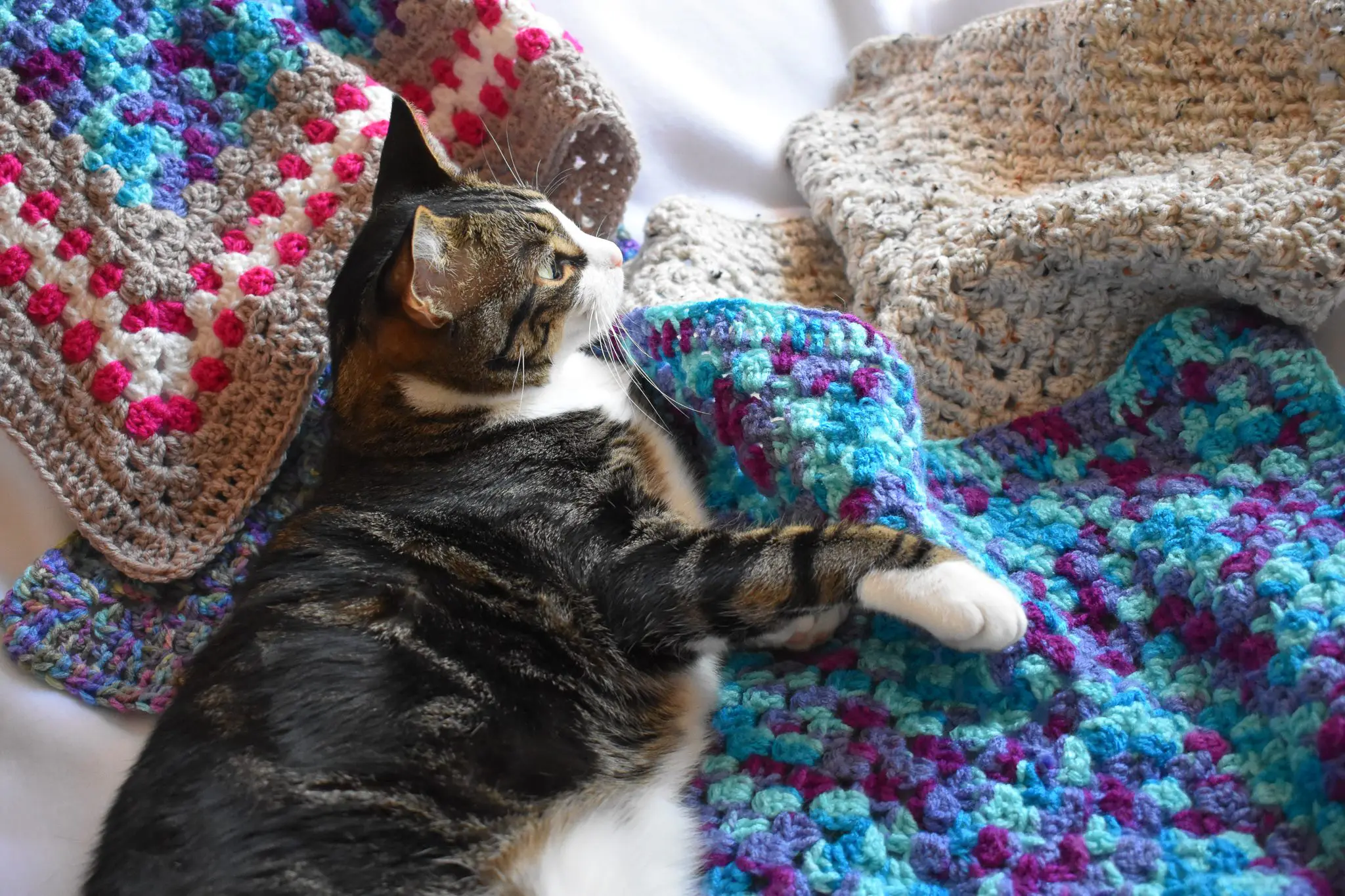 All-About-My-Etsy-Shop-Critter-Crafting26 - Cats & Coffee