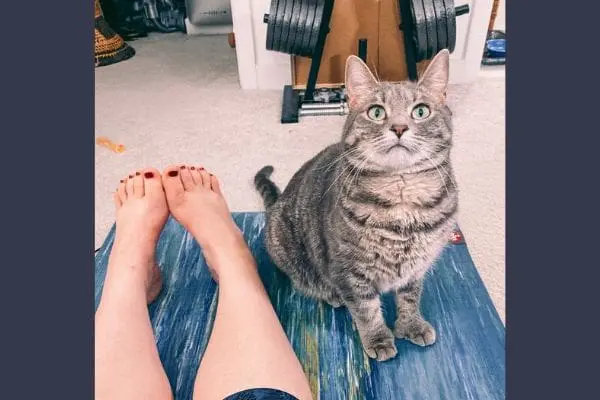 At Home Workouts - Cats & Coffee At Home Workouts with Olivia