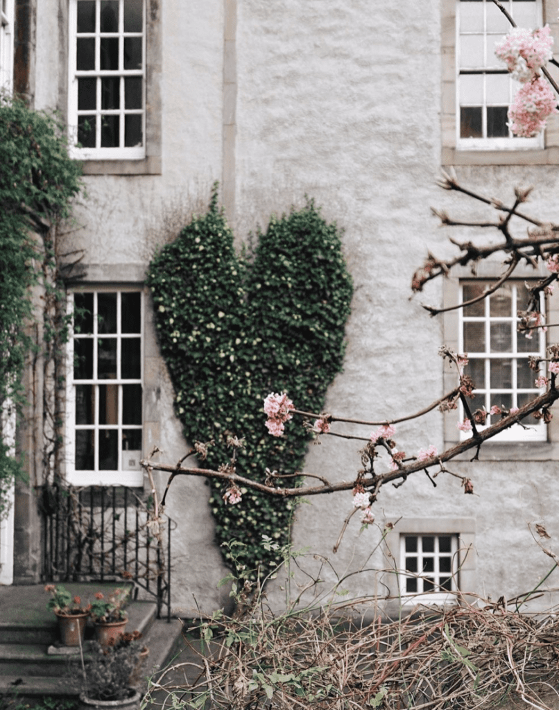Exploring Edinburgh3 - Instagram Accounts to Follow for Beautiful Travel Photography - Cats & Coffee by Christine Csencsitz - Cats & Coffee Exploring Edinburgh3 - Instagram Accounts to Follow for Beautiful Travel Photography - Cats & Coffee by Christine Csencsitz