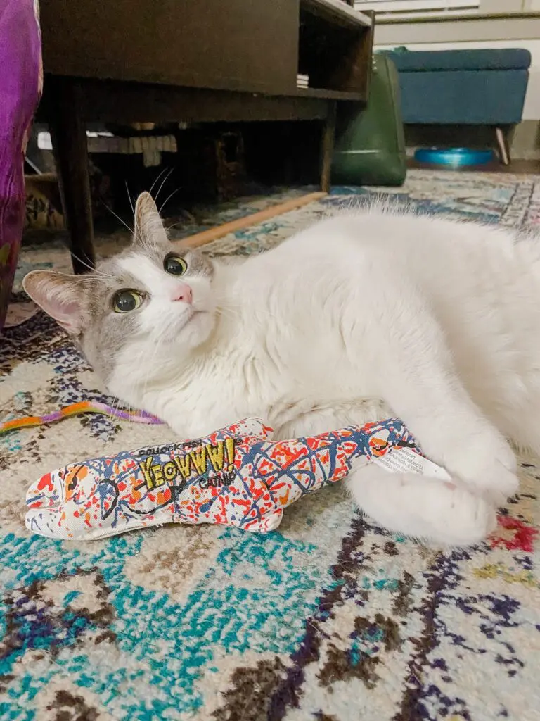 Emory with her Catnip Fish - Cats & Coffee Emory with her Catnip Fish