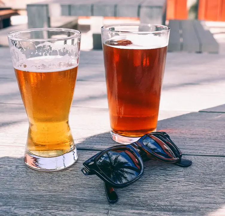 Saltwater Brewery, Delray Florida - Cats & Coffee Saltwater Brewery, Delray Florida
