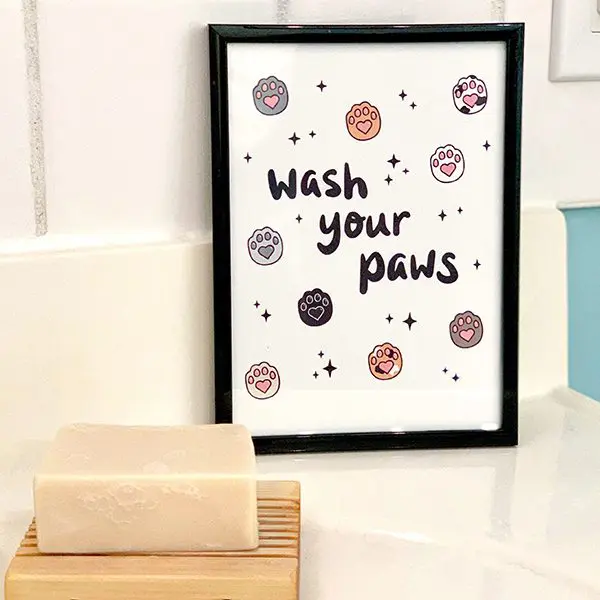 WashYourPaws - Cats & Coffee