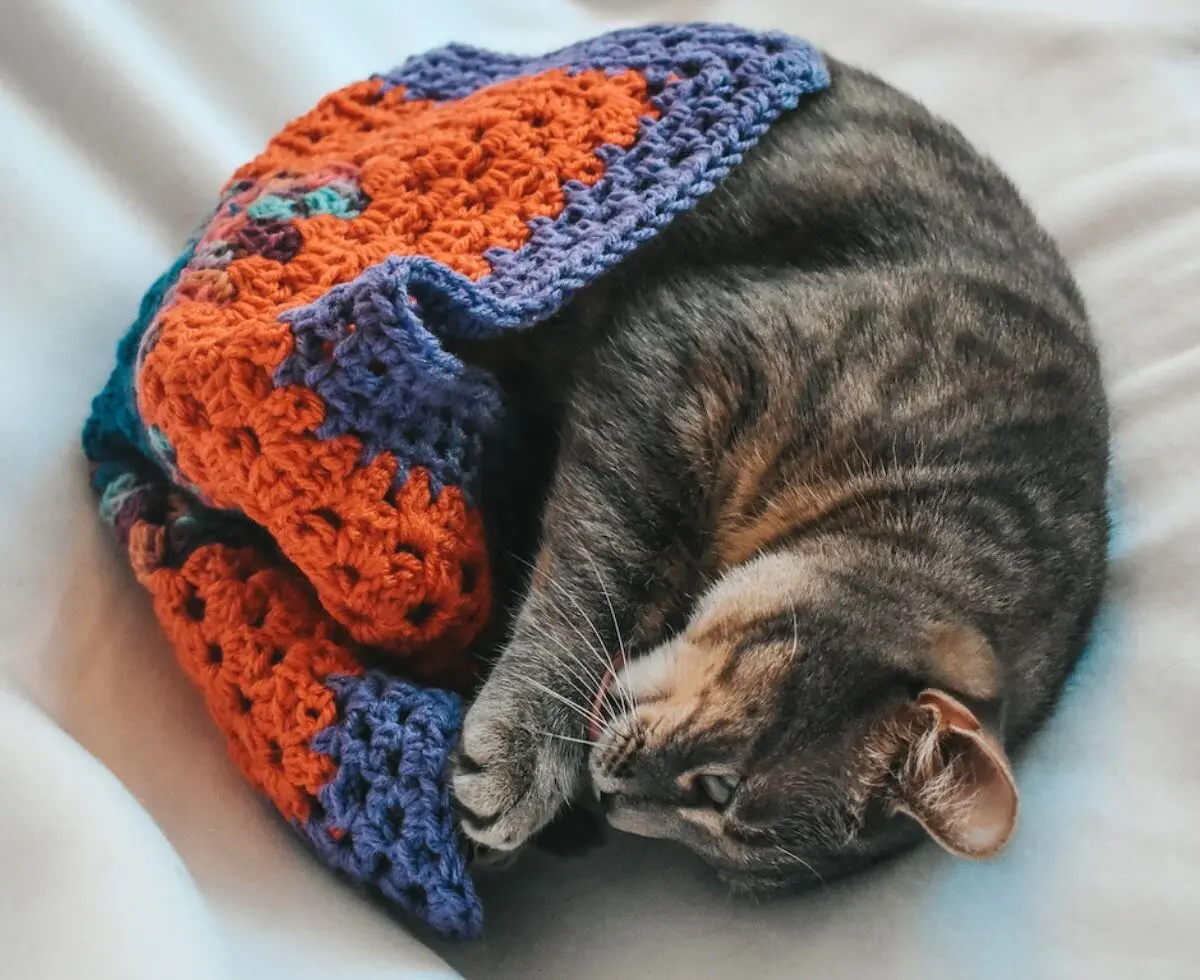 Critter Crafting specializes handmade crochet pet blankets for cats and small dogs. Read up on Cat Mat FAQ and learn more about my cozy pet blankets here!