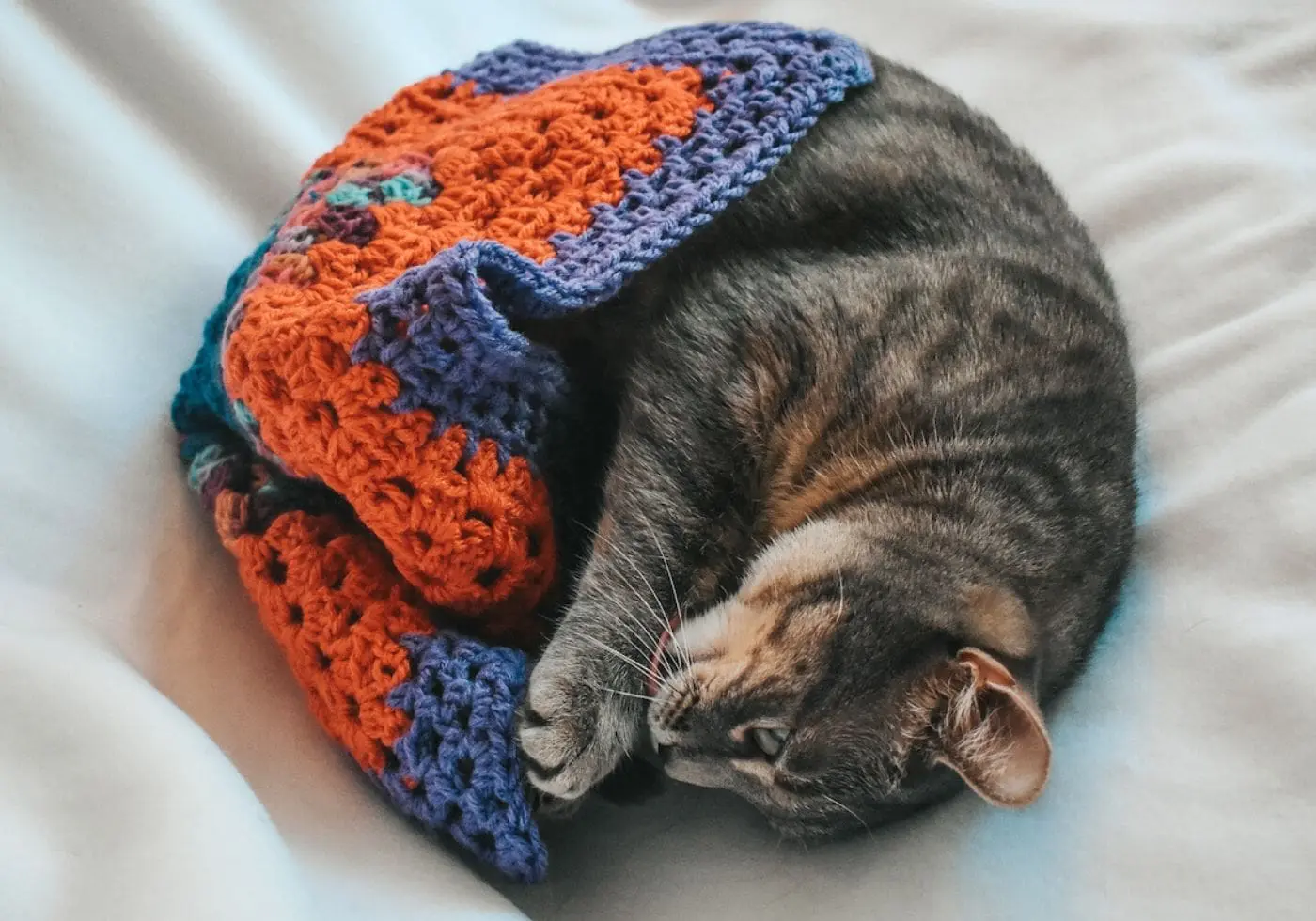 Critter Crafting Cat Mats - Pet Blankets for Cats - FAQ - Cats & Coffee Critter Crafting specializes handmade crochet pet blankets for cats and small dogs. Read up on Cat Mat FAQ and learn more about my cozy pet blankets here!