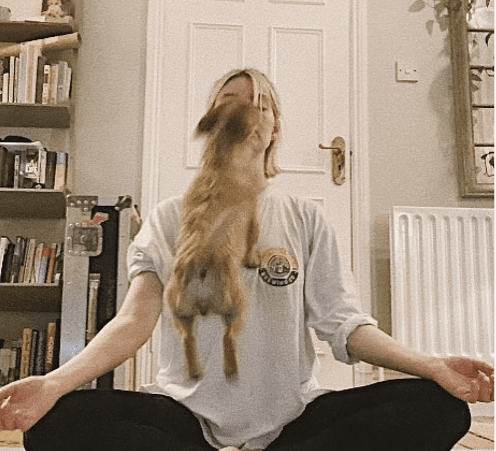 Nell-Hudson1 - Cats & Coffee