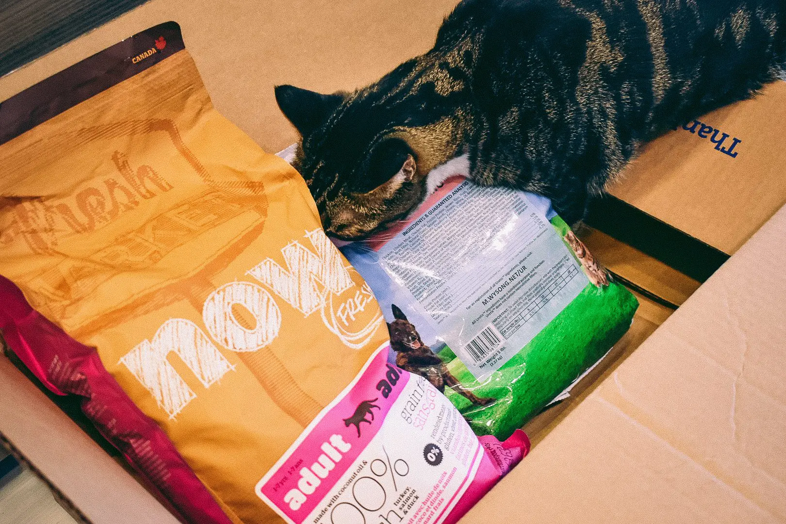 Cat-Mom-Life-High-Quality-Dry-Cat-Food2 - Cats & Coffee