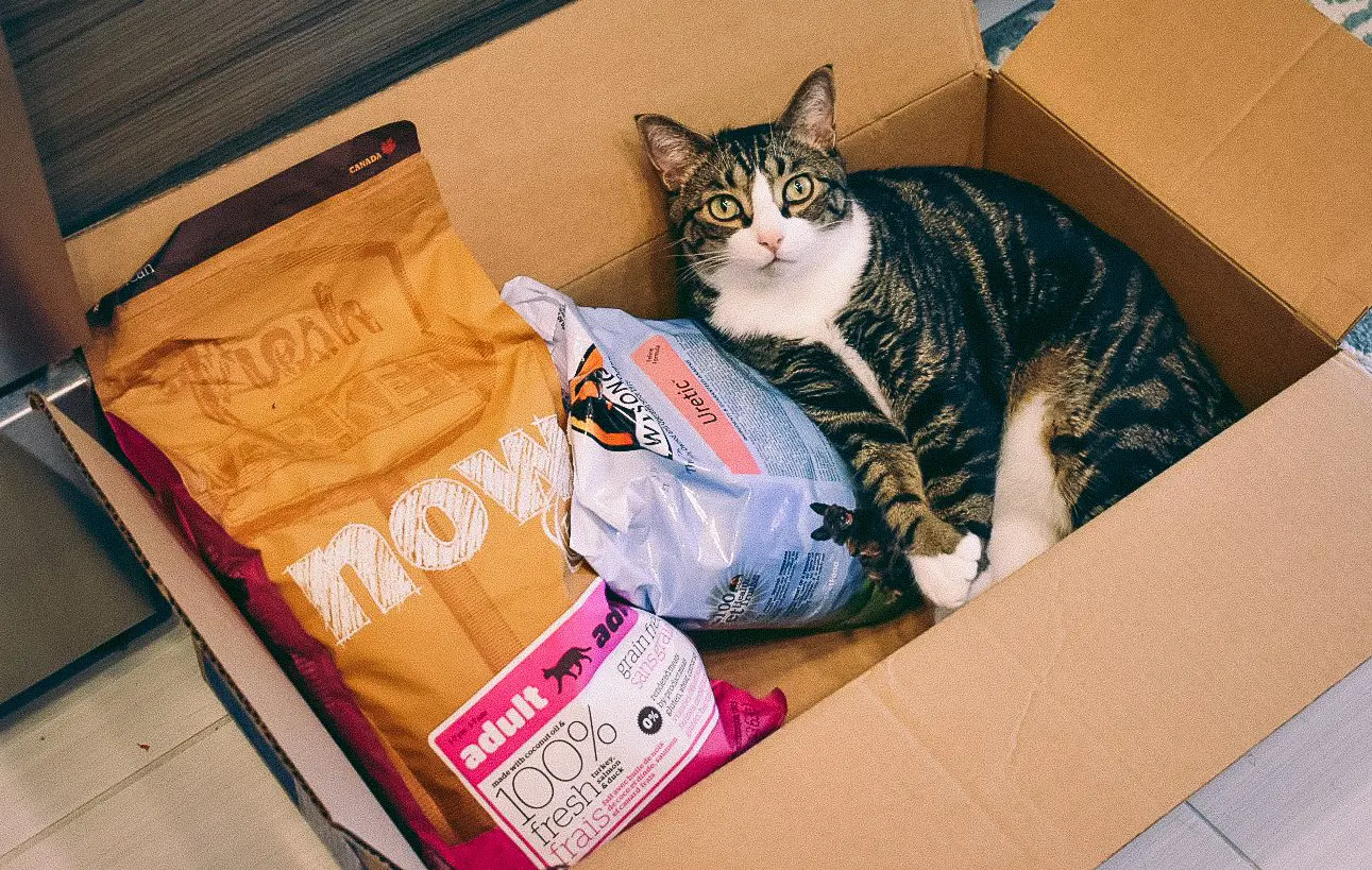 Cat-Mom-Life-High-Quality-Dry-Cat-Food6 - Cats & Coffee
