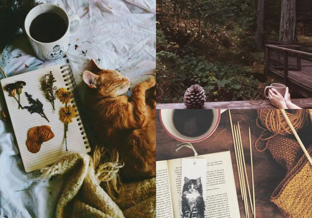 Cottagecore-example-collage-1 - Cats & Coffee