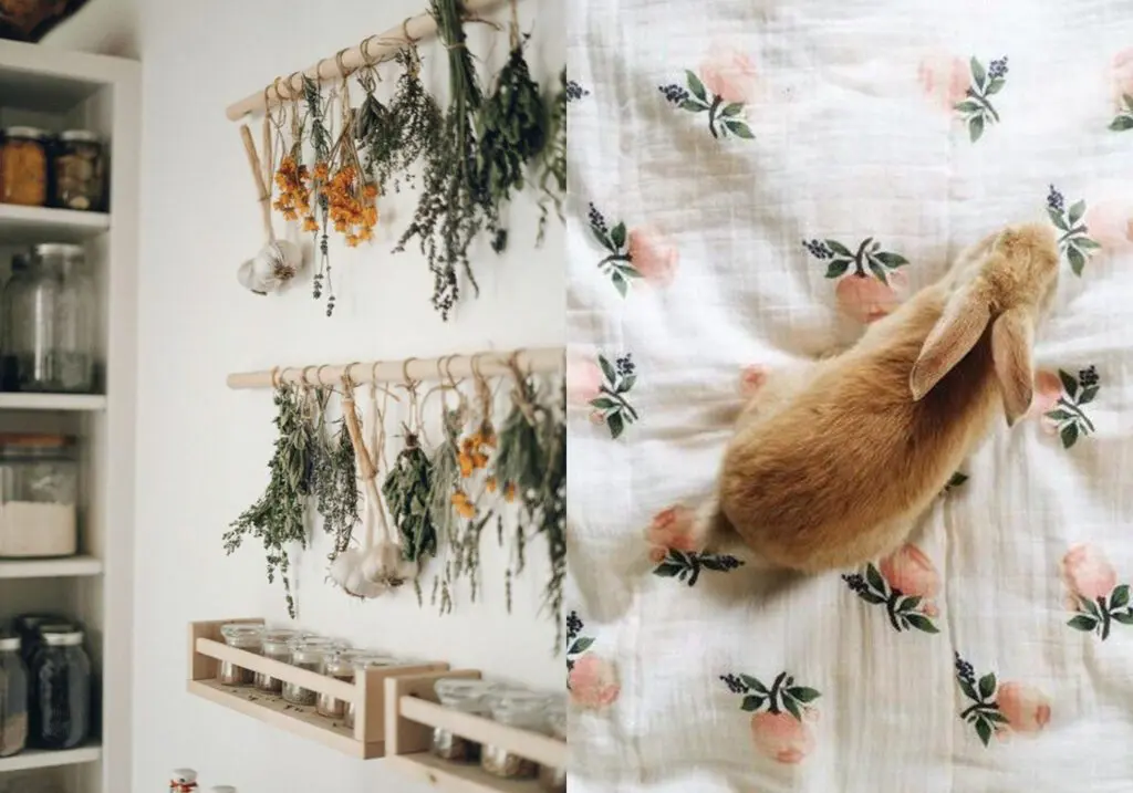 Cottagecore-example-collage-2 - Cats & Coffee