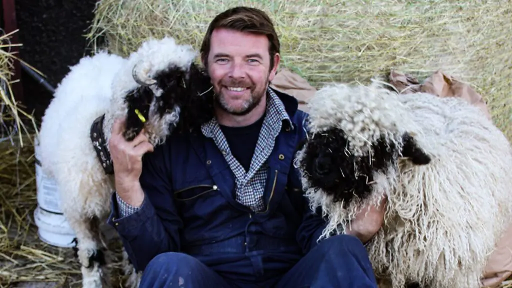 This-Farming-Life1 - Cats & Coffee
