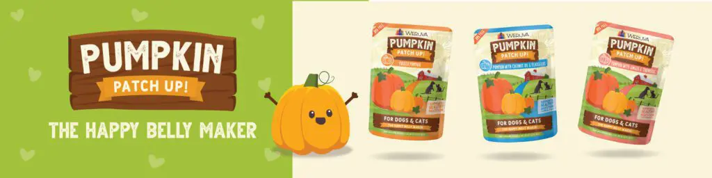 Weruva-Pumpkin-Patch-Up-Pumpkin-Supplement-for-Dogs-Cats - Cats & Coffee Weruva released a new version of their puréed pumpkin supplement pouches last week. These pouches are designed to promote health in both dogs and cats, and my kitties are obsessed. Weruva Pumpkin Patch Up pouches are now available in three flavors and my cats tried them out early. Read the full Weruva Pumpkin Patch Up Supplement review here!