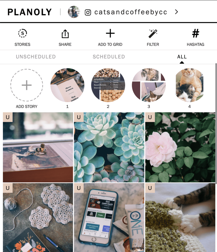 How-Planoly-Works-for-Social-Media-Scheduling-a-Planoly-App-Review-Scheduled-v-Unscheduled-View-Cats-Coffee - Cats & Coffee