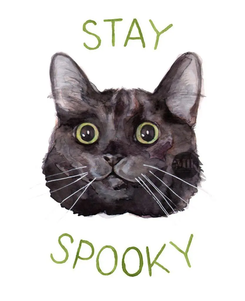 Megan-Lynn-Kott-Cat-Illustrations-from-Instagram-@meganlynnkott1 - Cats & Coffee