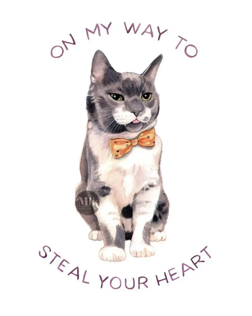 Megan-Lynn-Kott-Cat-Illustrations-from-Instagram-@meganlynnkott2 - Cats & Coffee