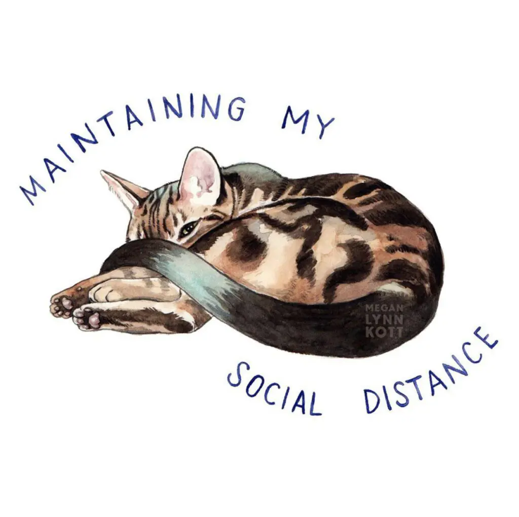 Megan-Lynn-Kott-Cat-Illustrations-from-Instagram-@meganlynnkott3 - Cats & Coffee