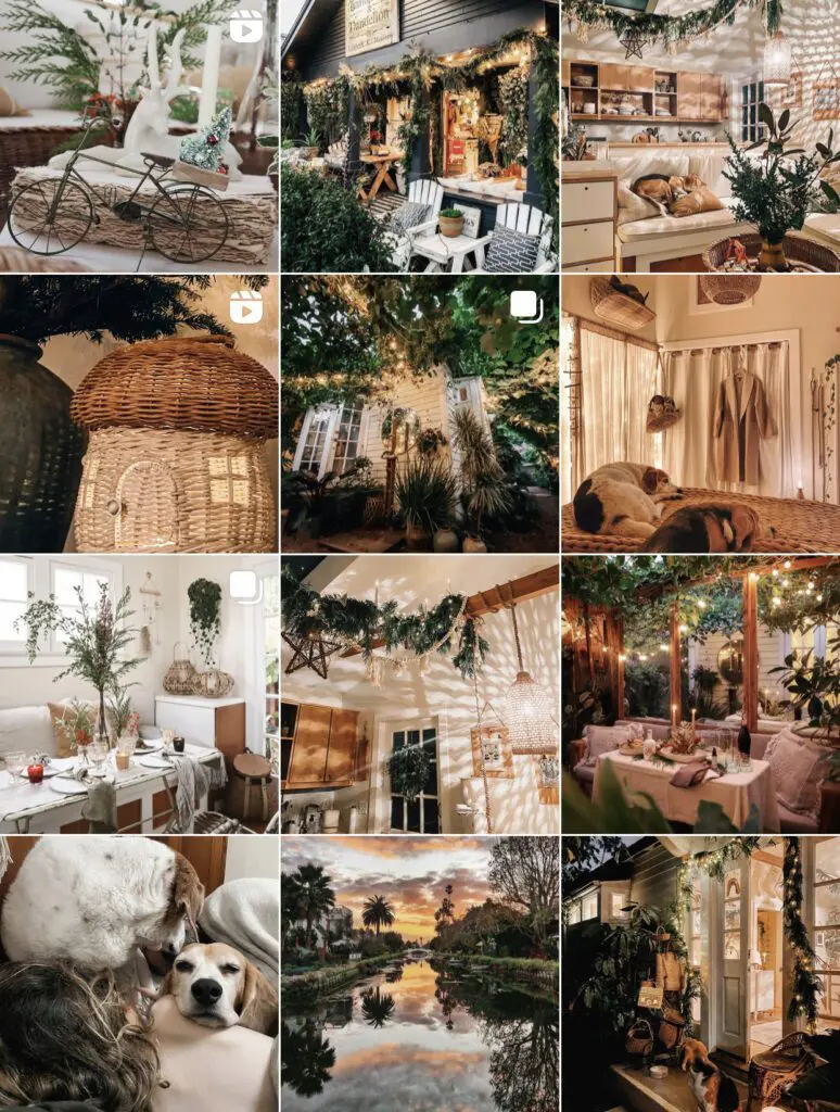 Instagram-Account-@whitneyleighmorris-Cats-Coffees-Curated-Content-Series- - Cats & Coffee Instagram Account: @whitneyleighmorris