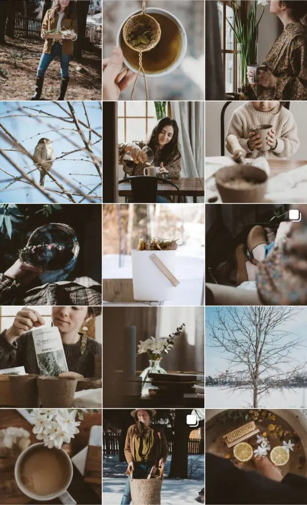 Ashley-York-Whimseyandwhile-Cats-Coffee-Curated-Content-Series - Cats & Coffee