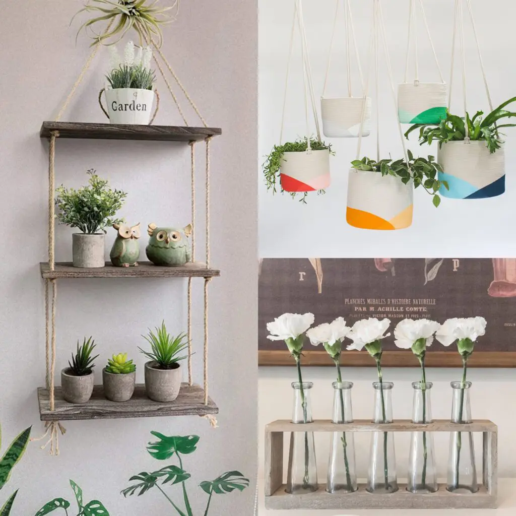 Cottagecore-Home-Decor-Inspiration-Cats-Coffee-by-Christine-Csencsitz-Lamps-Rugs-Living-Room-Plants-Planters-Trio-1 - Cats & Coffee Cottagecore Home Decor Inspiration - Plants and planters