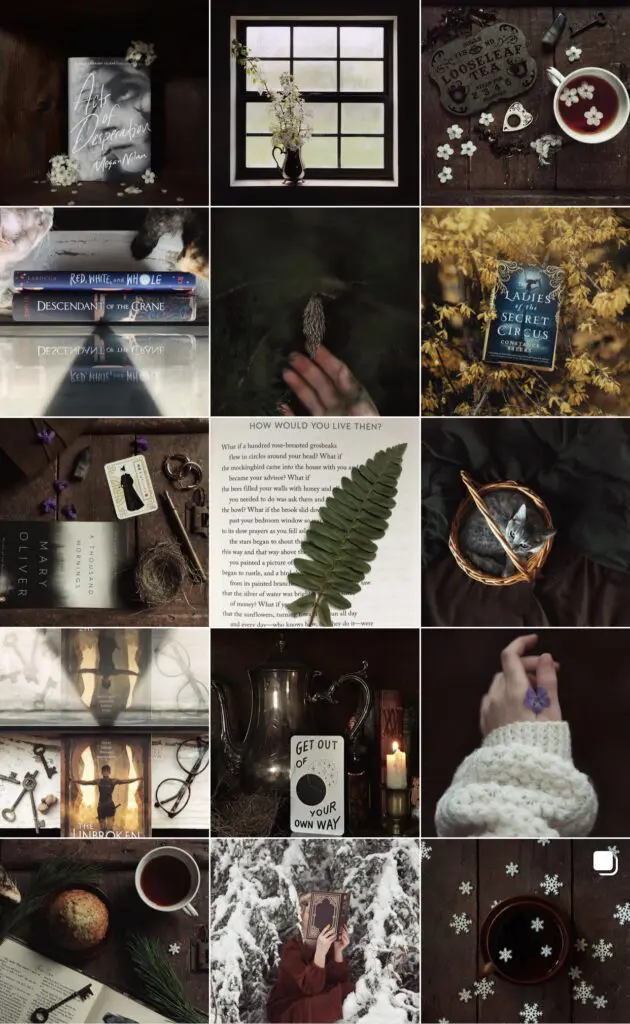 goodwomanofthewoods-Instagram-Cats-Coffee-Curated-Content-Series - Cats & Coffee