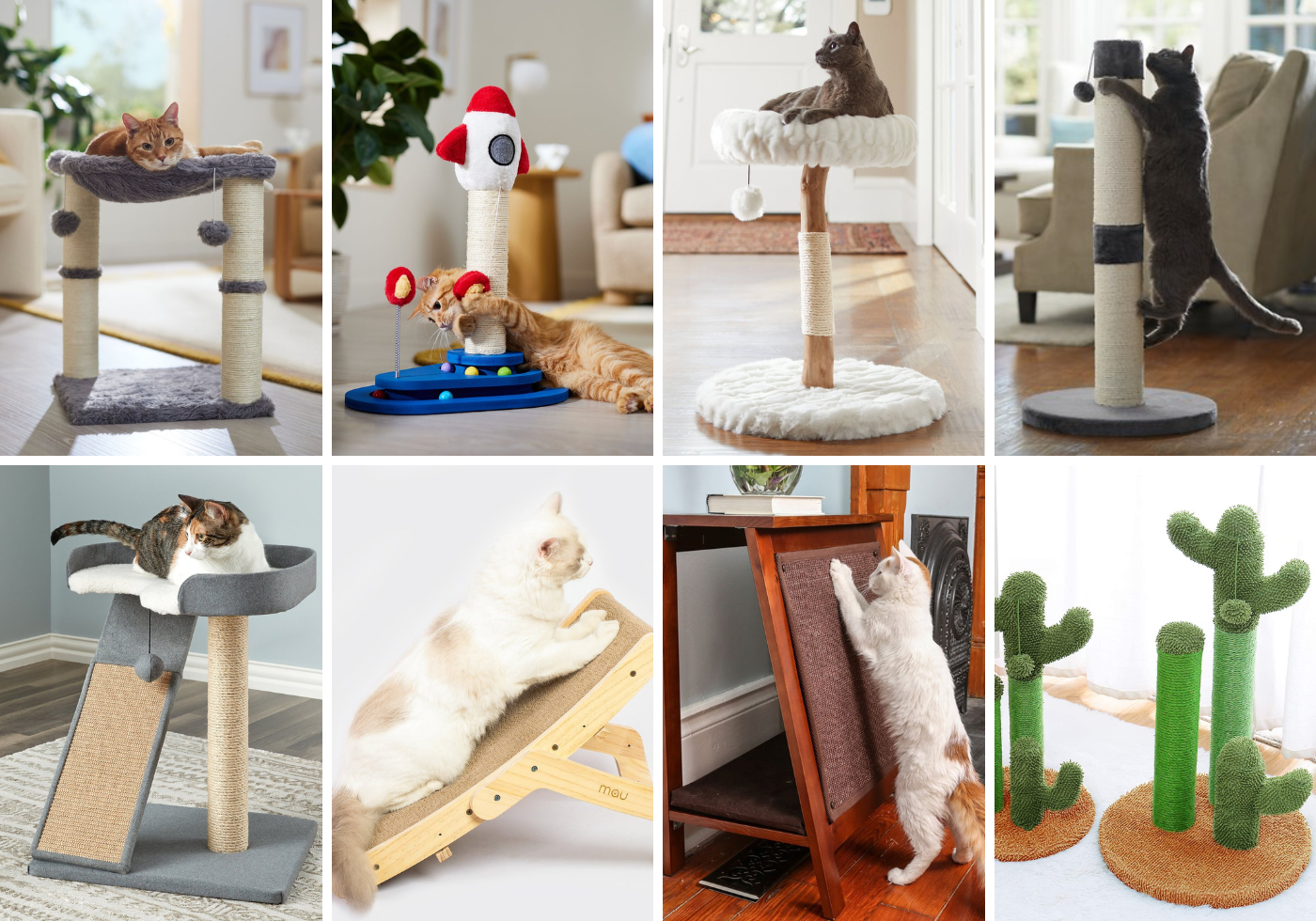 Cat Scratching Posts - Cats & Coffee Cat Scratching Posts