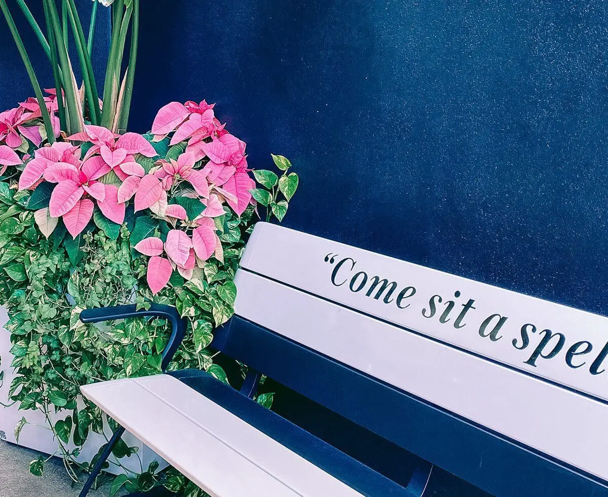 Welcome to the May Edition of Cats & Coffee’s Curated Content Series! This series features weekly content round-ups of articles, videos, podcasts, and Instagram accounts. I find content that is worth your time so you don’t have to!