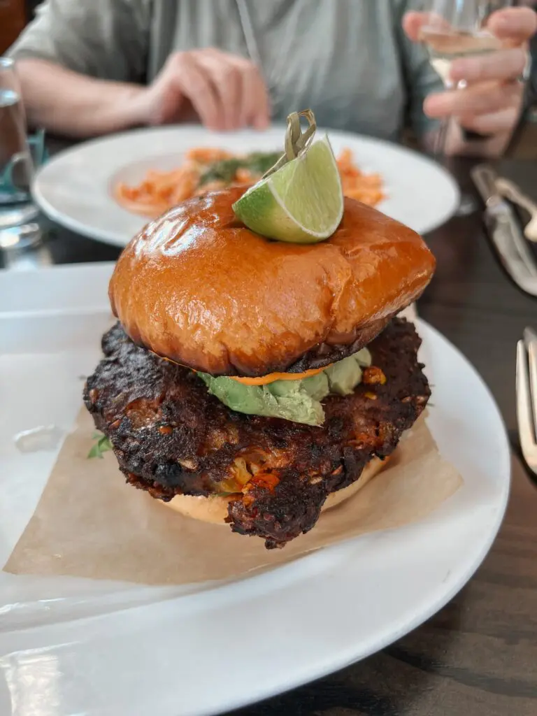 On Swann Tampa Florida 12-min - Cats & Coffee Veggie Burger On Swann