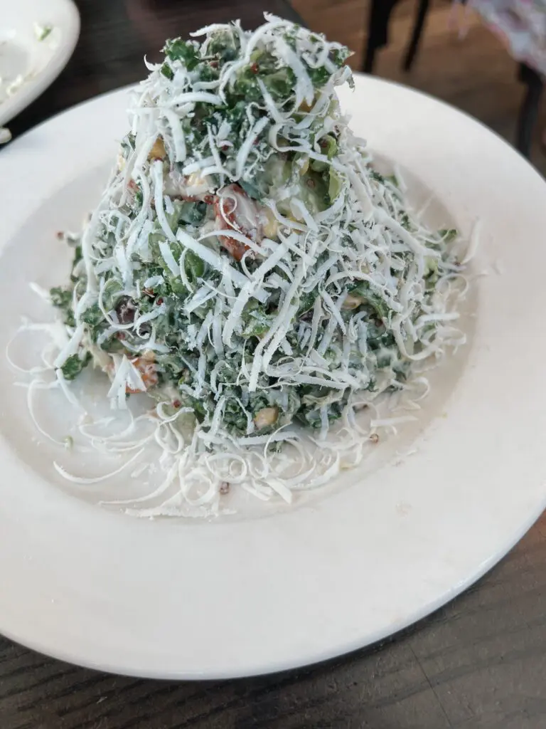 On Swann Tampa Florida 7-min - Cats & Coffee Kale Salad from On Swann Tampa Florida