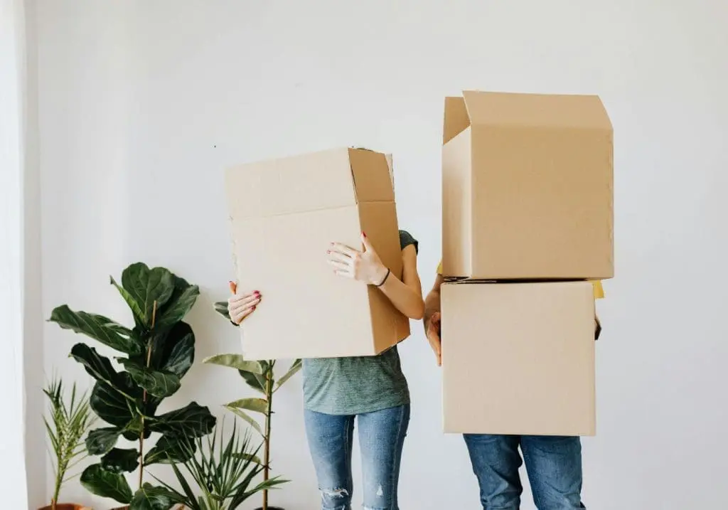 15 Things to Do Before a Move - Cats & Coffee 15 Things to Do Before a Move