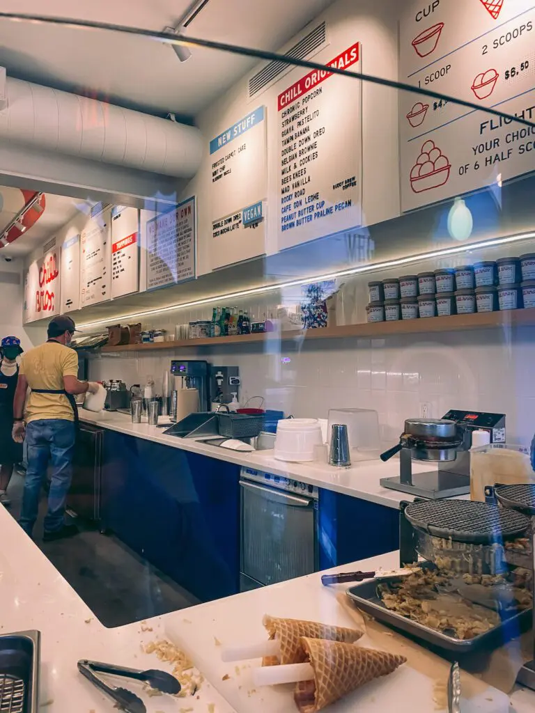 Chill Bros Ice Cream3 - Cats & Coffee Visiting Chill Bros South Tampa ice cream shop