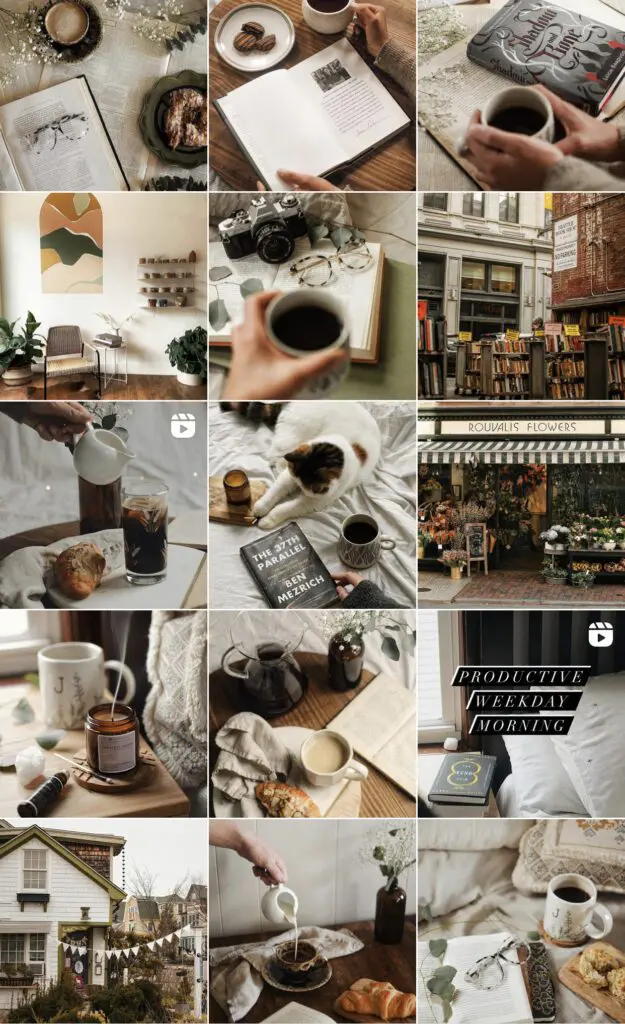 Instagram-Account-of-the-week-@magicinsalem - Cats & Coffee