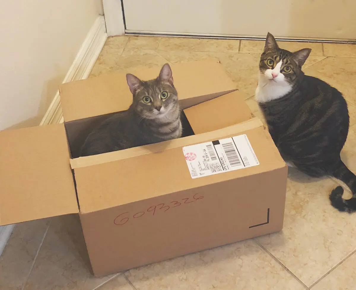 15 Things to Do Before a Move
