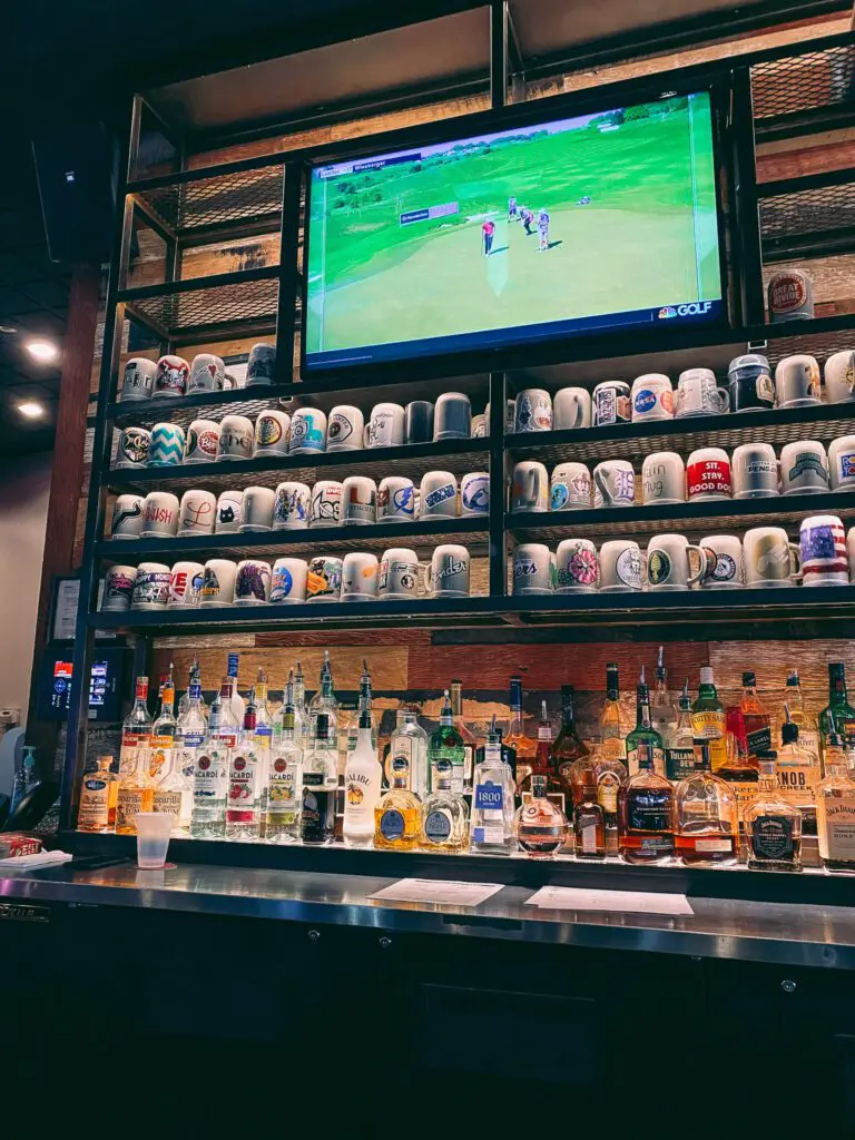 The-Best-Breweries-in-Tampa-for-Craft-Beer-Lovers-Cats-Coffee-by-Christine-Csencsitz-Tampa-Bay-Brewing-Co1-2 - Cats & Coffee
