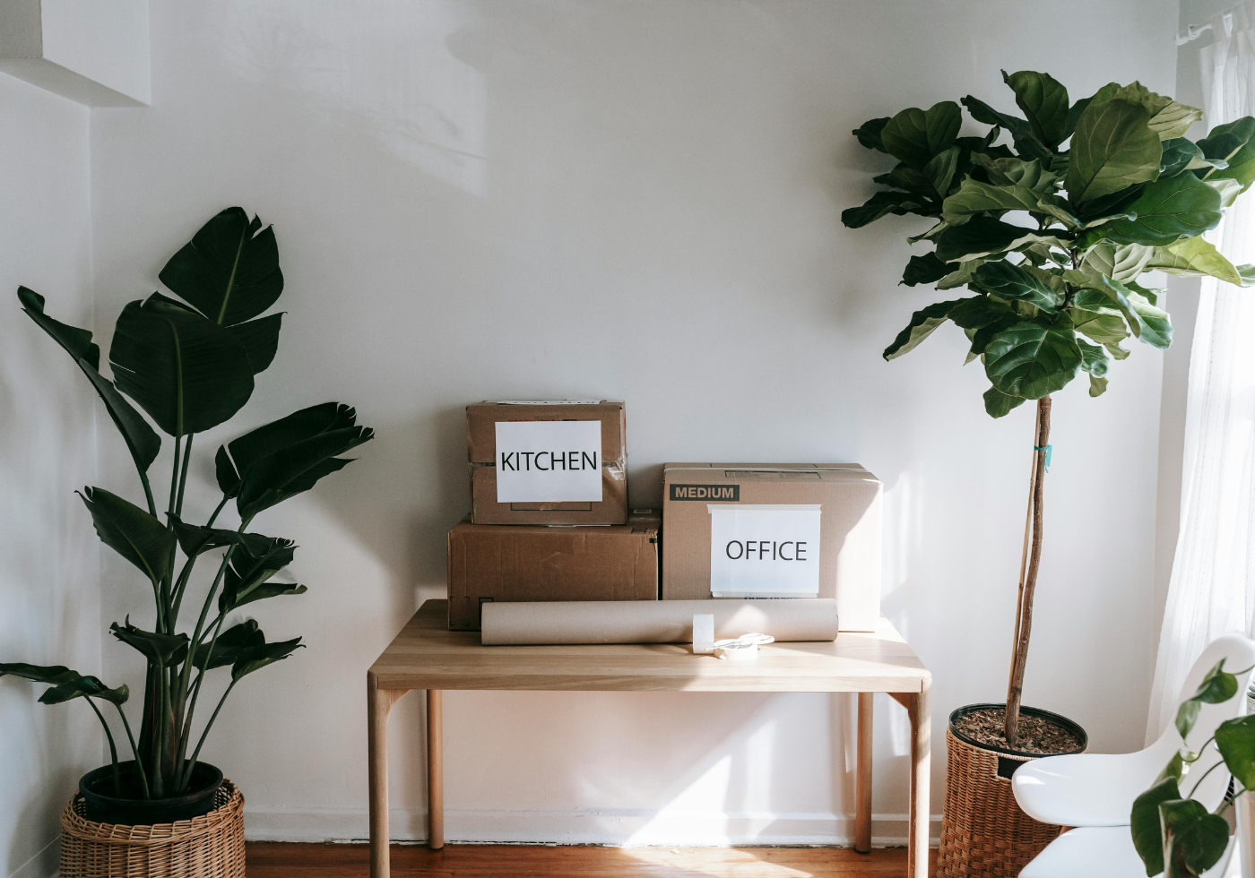 Moving Day Checklist - Cats & Coffee Moving Day Checklist