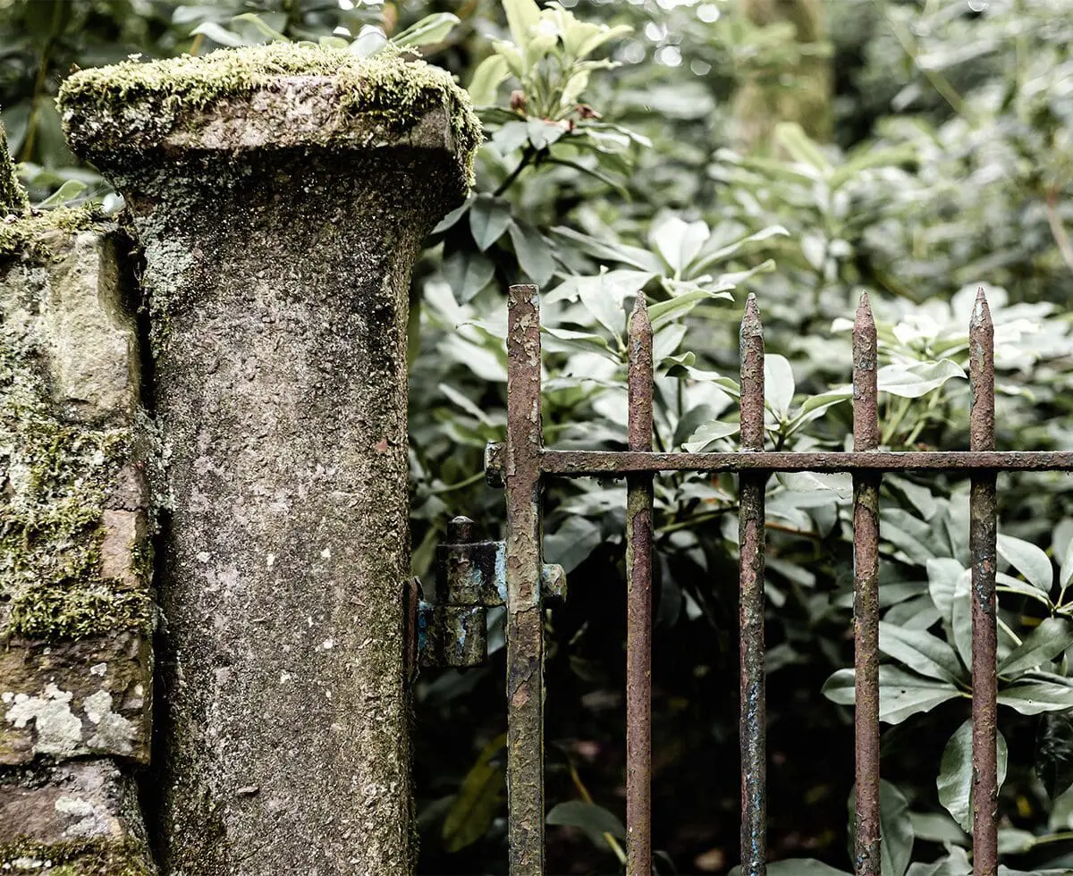 Greenery a la Scotland