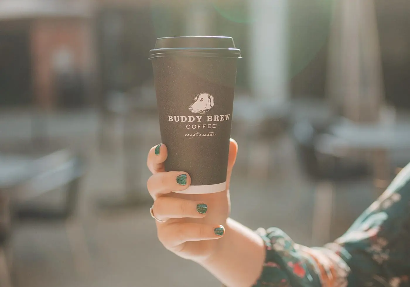 Buddy Brew Coffee - Cats & Coffee by Christine Csencsit 3:22 - Cats & Coffee Buddy Brew Coffee - Cats & Coffee by Christine Csencsitz
