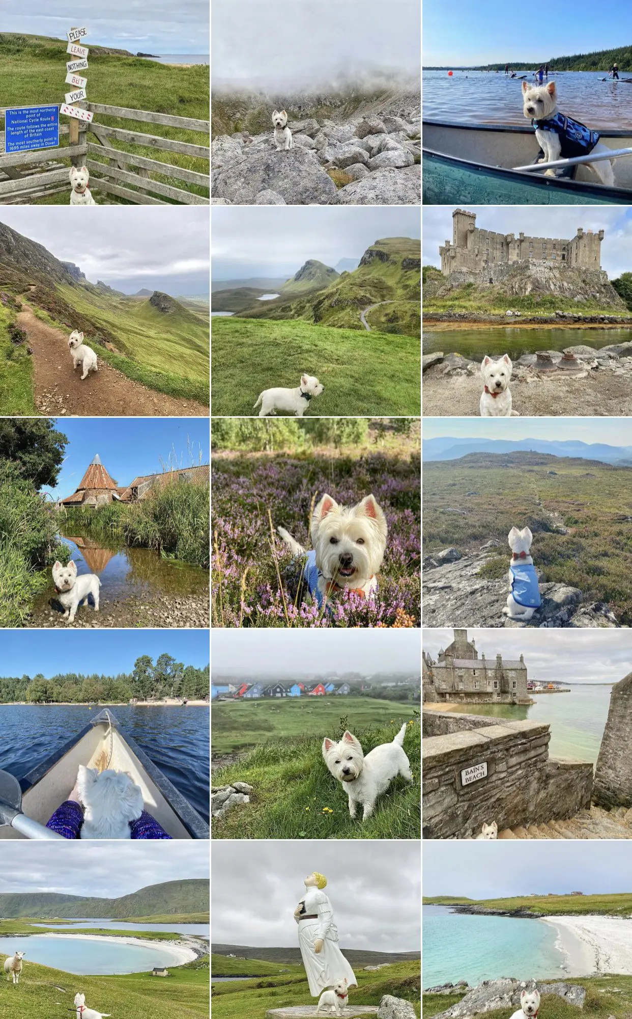 Casper-Grant-the-Wee-White-Dug-in-Scotland - Cats & Coffee