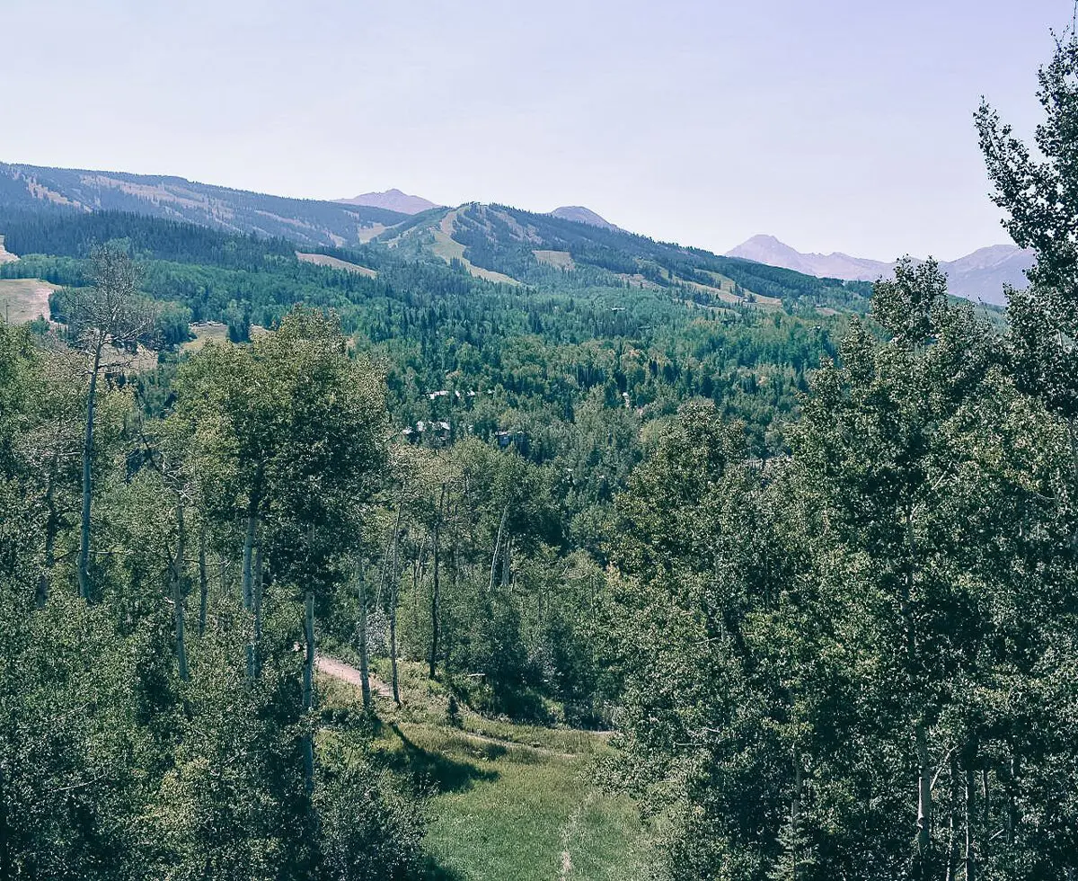Visiting Aspen Snowmass - Cats & Coffee