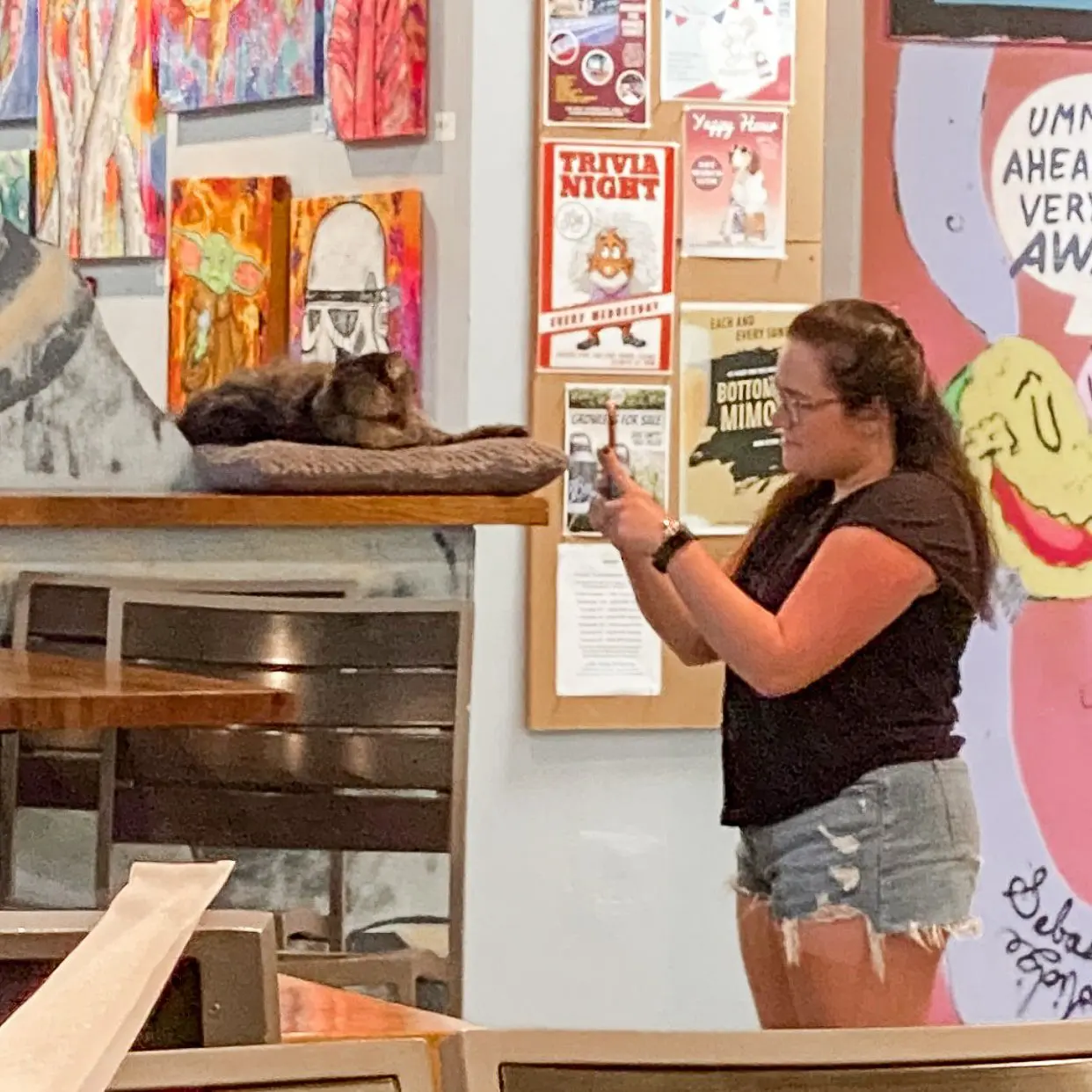 81 Bay Brewing Co - Tampa Brewery Guide by Cats & Coffee2-min - Cats & Coffee 81 Bay Brewing Co. - Brewery Cat Mittens
