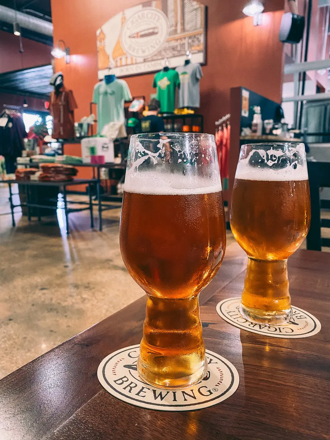 The Best Breweries in Tampa for Craft Beer Lovers - Cats & Coffee by Christine Csencsitz - CCB1 - Cats & Coffee Cigar City Brewing in Tampa, Florida