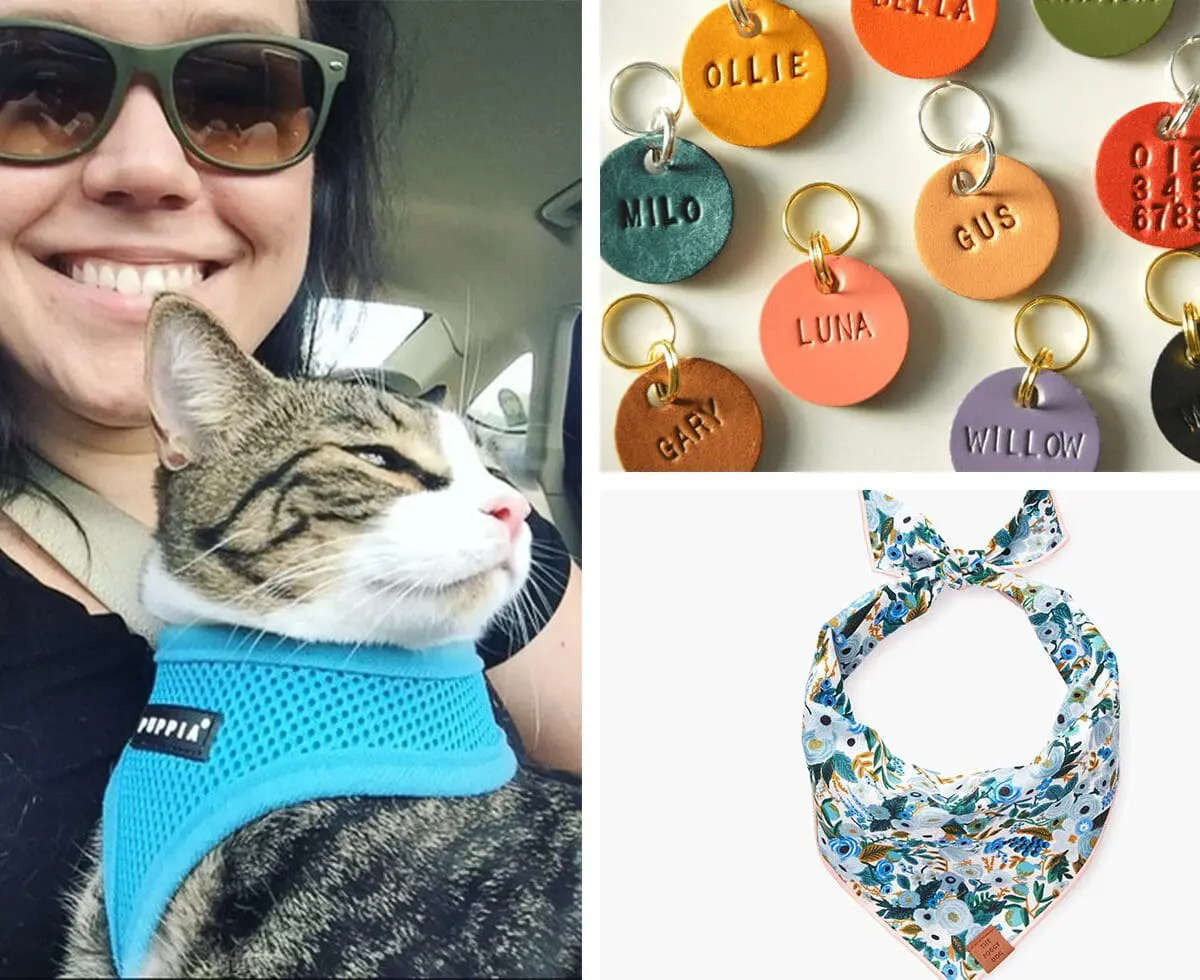 Cute Pet Accessories