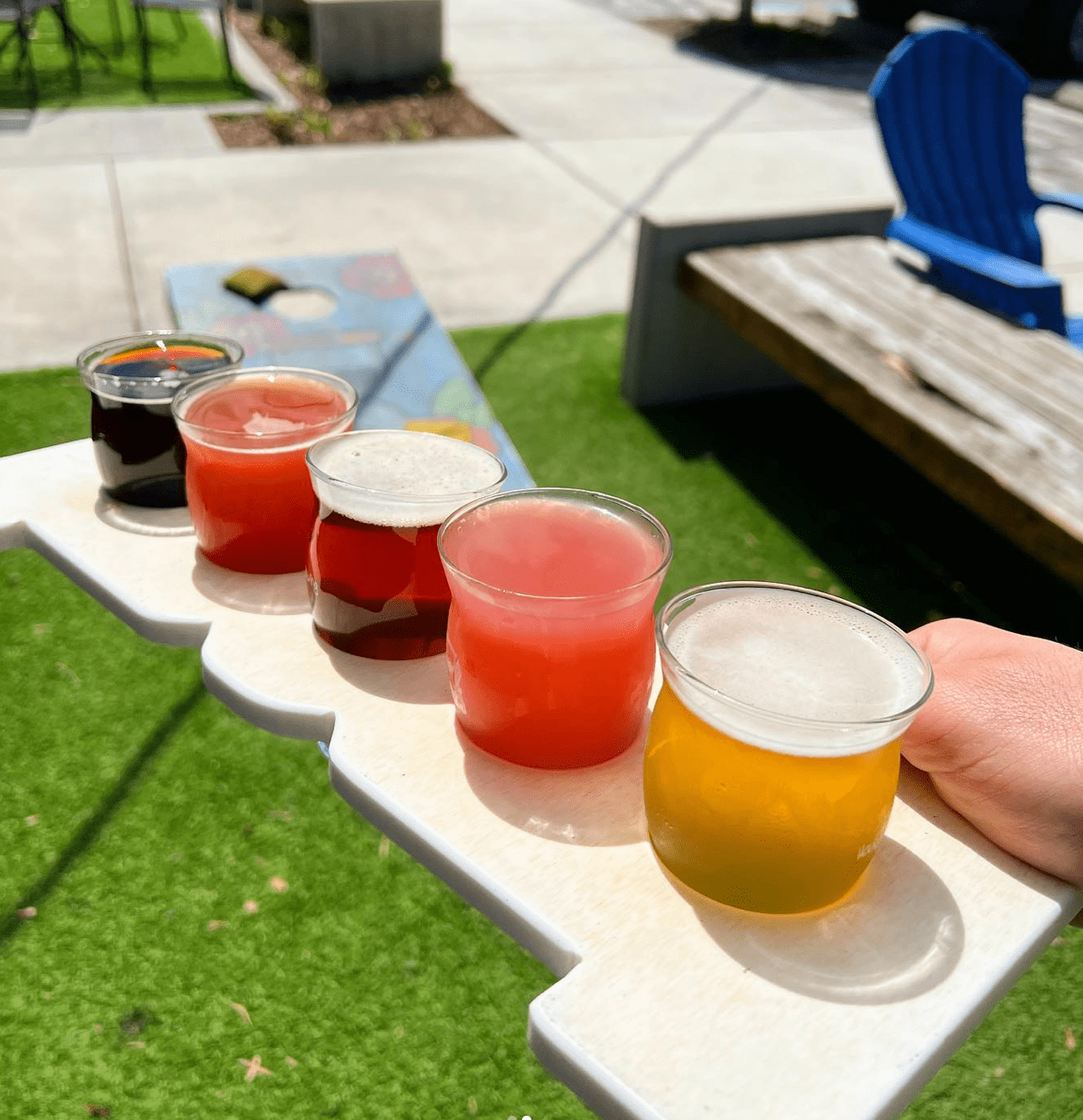 Hourglass Brewing Orlando - Orlando City Guide - Cats & Coffee by Christine Csencsitz1 - Cats & Coffee Hourglass Brewing Orlando